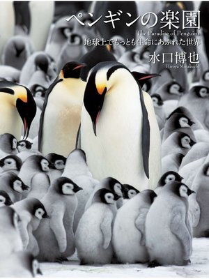 cover image of ペンギンの楽園 地球上でもっとも生命にあふれた世界